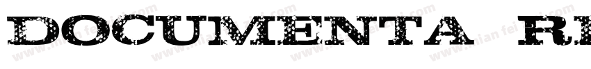 Documenta Regular It字体转换